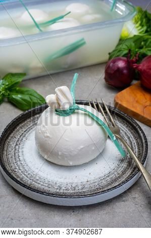 Eating Of Fresh Handmade Soft Italian Cheese From Puglia, White Balls Of Burrata Or Burratina Cheese
