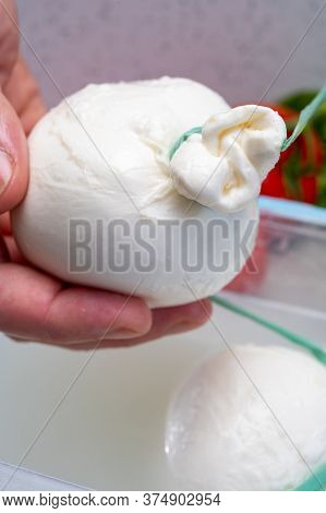 Cheese Maker Holds In Hand Fresh Soft Italian Cheese From Puglia, White Balls Of Burrata Or Burratin
