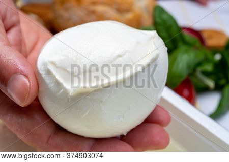 Cheese Maker Holding In Hand Fresh Soft Italian Cheese From Campania, White Balls Of Buffalo Mozzare