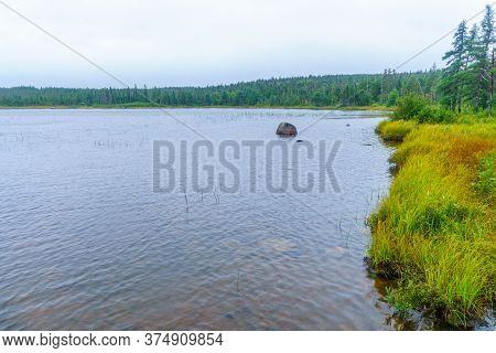 Views Of The Benjie Lake Trail, On The Plateau At The Top Of French Mountain, In Cape Breton Highlan