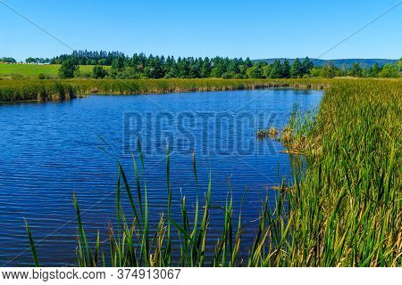 Marshland View In Harvey, New Brunswick, Canada