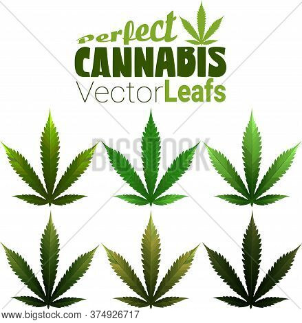 Perfect Marijuana Leafs In 100% Vector And Different Colors. Great Assets To Have Handy For Your Nex