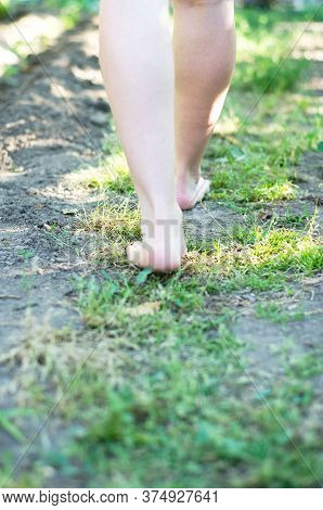 Soft Focus Women's Feet Are Walking On The Path. Feet On A Grass Path Close-up.