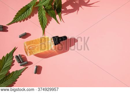 Hemp Oil And Cannabis Leaves On Pink Background