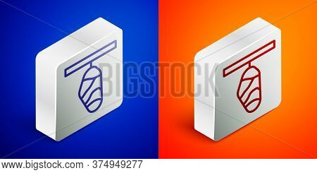 Isometric Line Butterfly Cocoon Icon Isolated On Blue And Orange Background. Pupa Of The Butterfly. 