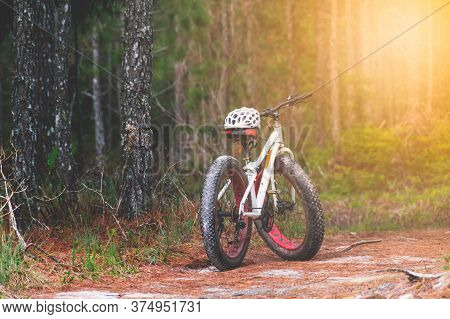 Mountain Bikes And White Helmets With Pine Tree Forests Background Which Dry Leaves Fall On The Road