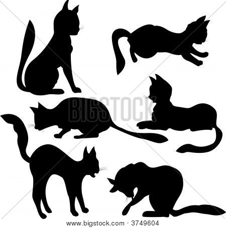 Silhouettes de chat