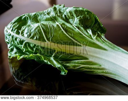 Chard Leaf.