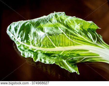 Chard Leaf.