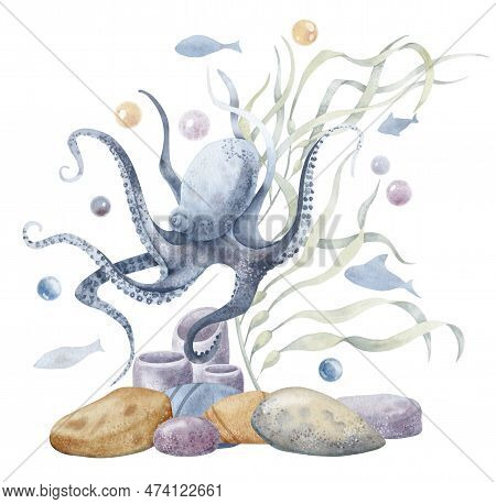 Octopus With Seabed And Seaweed. Hand Drawn Watercolor Undersea Illustration On Isolated Background.