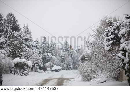 Estate Road Leading To Buildings, Covered With A Thick Layer Of Snow