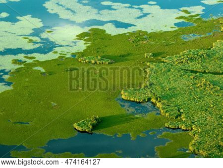 Bog, Mire Closeup, Background, Texture. Marsh Background With Green Moss, Top View. Marshland At Wil