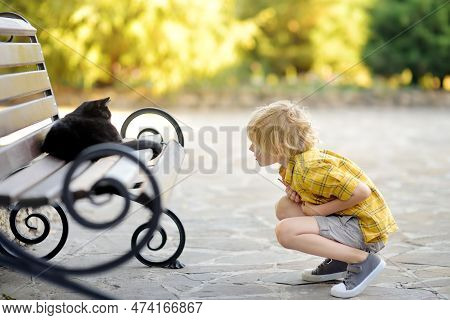 Cute Preschooler Child Is Admiring Of Black Kitten Lying On A Bench In Public Park. Cute Boy Is Look