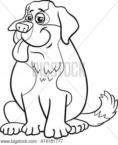 Black And White Cartoon Illustration Of Saint Bernard Purebred Dog Animal Character Coloring Page