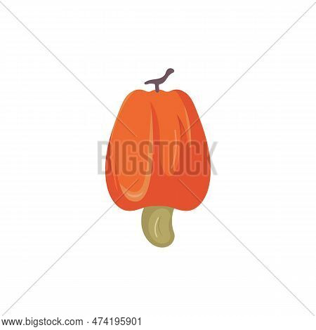 Cashew Fruit Vector Illustration Logo Template