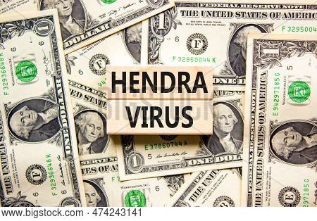 Hendra Virus Symbol. Concept Words Hendra Virus On Wooden Block. Beautiful Background From Dollar Bi