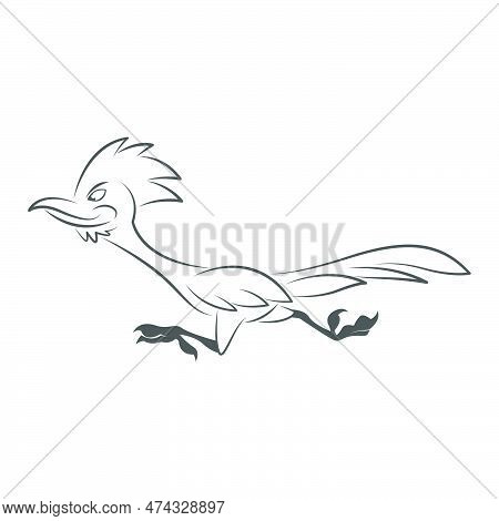 Roadrunner Logo Icon Design