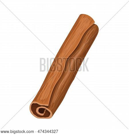 Cinnamon Stick Food Cartoon. Plant, Powder Cinamon, View Brown, Cooking Healthy, Dessert Top Cinnamo