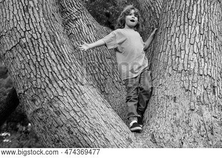 Kid Climbing Up An Tree. Little Blond Boy Enjoying Climbing On Tree. Toddler Children Learning To Cl