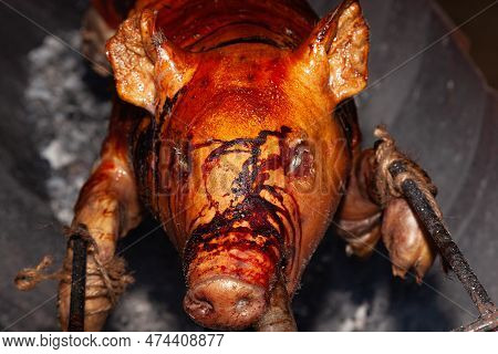 A Young Pig Is Roasted On A Spit Over Coals.
