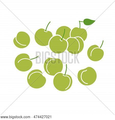 Green Plum Fruit Bunch. Flat Vector Illustration Isolated On White Background.