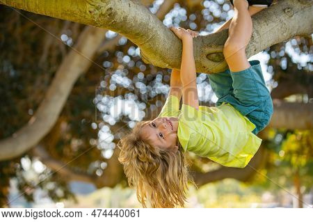 Portrait Of Cute Kid Boy Sitting On The Tree, Climbing A Tree. Active Boy Playing In The Garden. Kid