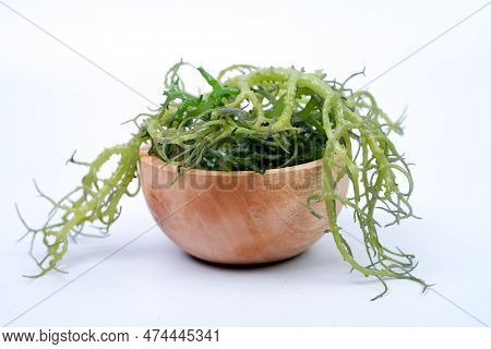 Fresh Graciillaria Spp Seaweed In Wooden Bowl Isolated On White Background