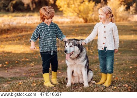 Happy Little Children Having Fun With Dog Pet On Field. Child 5 Years Old. Carefree Childhood. Kids 