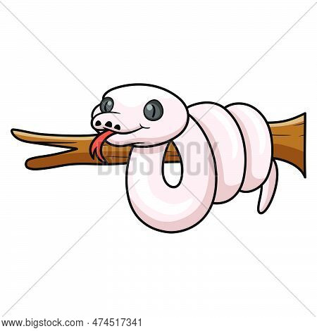 Vector Illustration Of Cute Black Eyed Leucistic Reticulatus Python Cartoon On Tree Branch