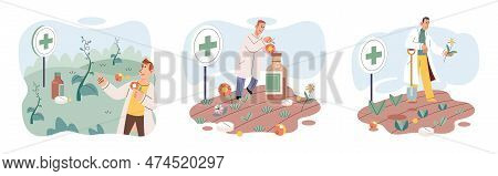 Herbal Oils Natural Medicines. Scientist Or Doctor Making Alternative Medicine Herb, Mortar, Laborat