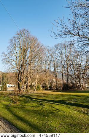 Thun, Switzerland, February 12, 2023 Natural Scenery In The Schadau Park On A Sunny Day