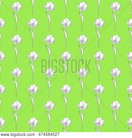 Hand Drawn Seamless Vector Pattern Of Blomming Outline Tulips Doodle Style, Ink Scetch