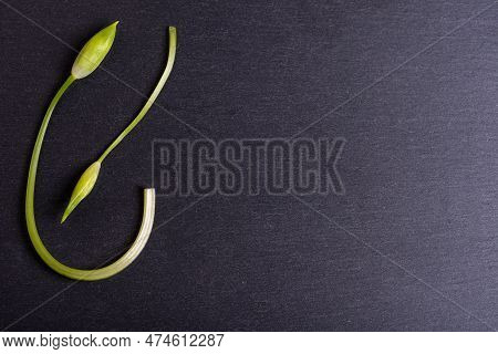 Wild Garlic. Flowers Of Wild Garlic On A Black Board.