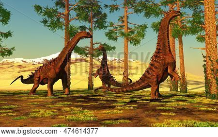 Alamosaurus Eating Pine Trees 3d Illustration - A Group Of Titanosaurs Called Alamosaurus Forage Amo