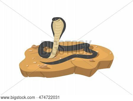 Attacking Dangerous Cobra Snake On Ground, Flat Vector Illustration Isolated.
