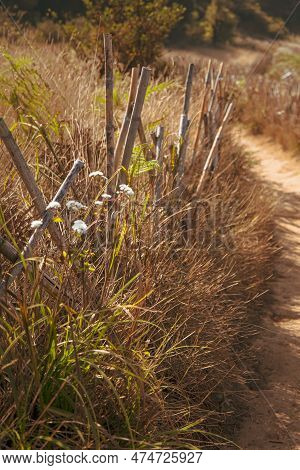 A Nature Trail With Bamboo Fencing On Either Side Surrounded By Wildflowers Through A Sub-alpine Mea