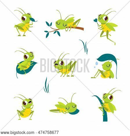 Cute Funny Green Grasshoppers Set. Funny Insect Jumping, Sleeping And Eating Cartoon Vector Illustra