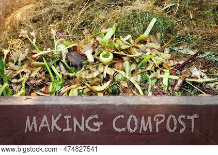 Making Compost - Text On The Front Of A Compost Bin With Food Scraps And Grass Clippings. Composting