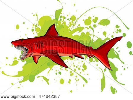 Vector Illustration Of Shark Red Angry Design