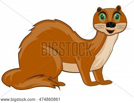 Vector Illustration Of The Small Ravenous Wildlife Polecat