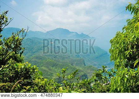 Natural Green Mountain And Valley Landscape Scenic View Of Bitou Cape (bitoujiao) On A Clear Blue Sk