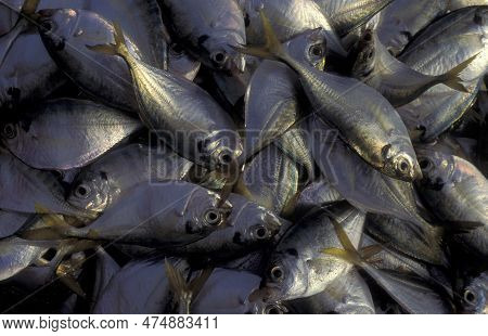 India Goa Vagator Fishing Village