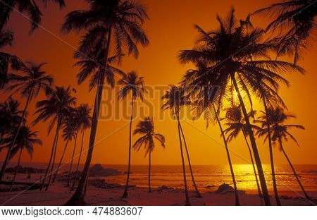 India Goa Landscape Beach