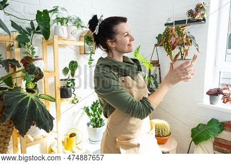 Woman Plant Breeder Examines And Admires Home Plants In A Pot From Her Collection At Home On The She