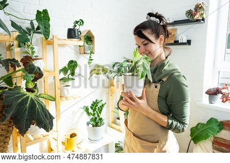 Woman Plant Breeder Examines And Admires Home Plants In A Pot From Her Collection At Home On The She
