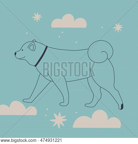 Cute Dog In The Clouds. Shiba Inu In A Collar Walks. Vector Illustration.