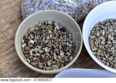 Low Quality Raw Coffee Beans. Coffee Bean With Defect, Low Grade.