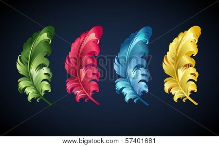 vector colorful feathers of sprind bird