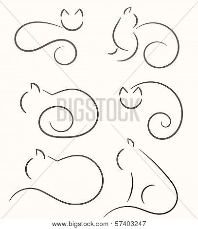 black cats