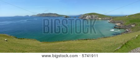 Cumann Nicheoil